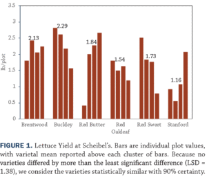 Lettucefigure1