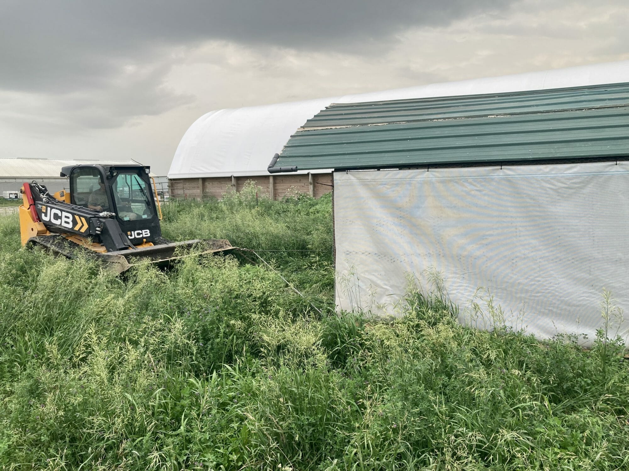 New shed first season being pulled