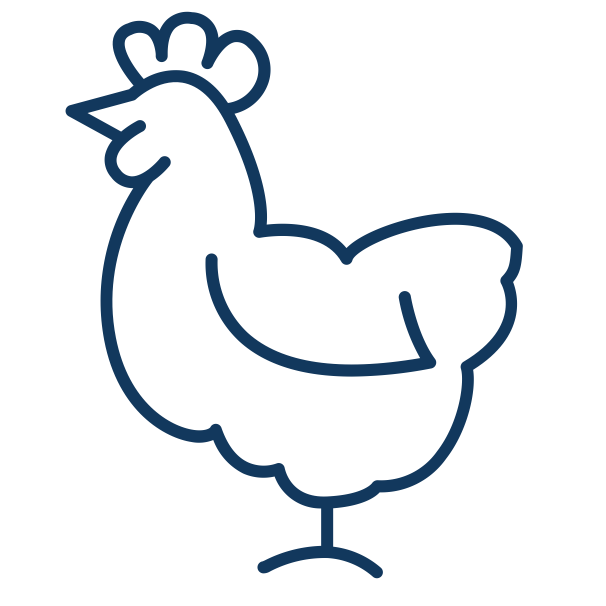 Noun Chicken 1016532