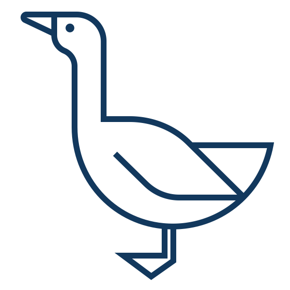 Noun Goose 2736291
