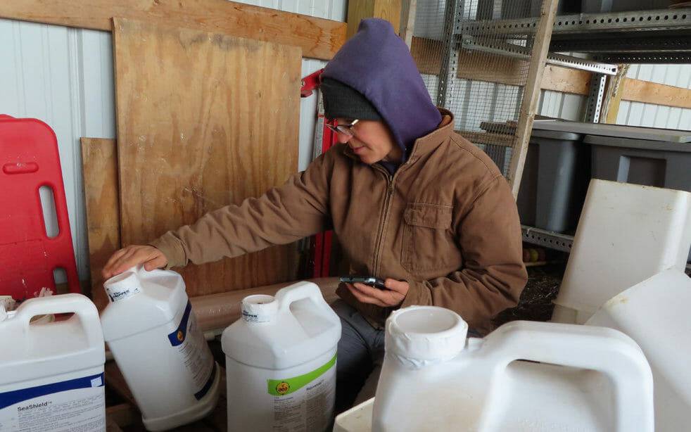 Effect of Soil Primer (Rejuvenate) on Napa Cabbage