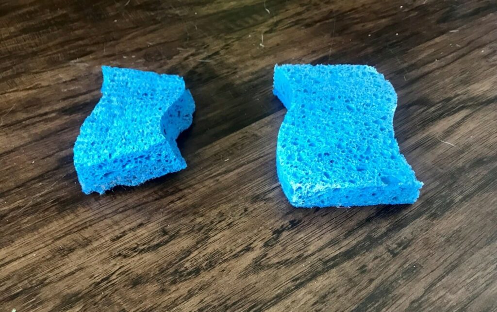 Sponges