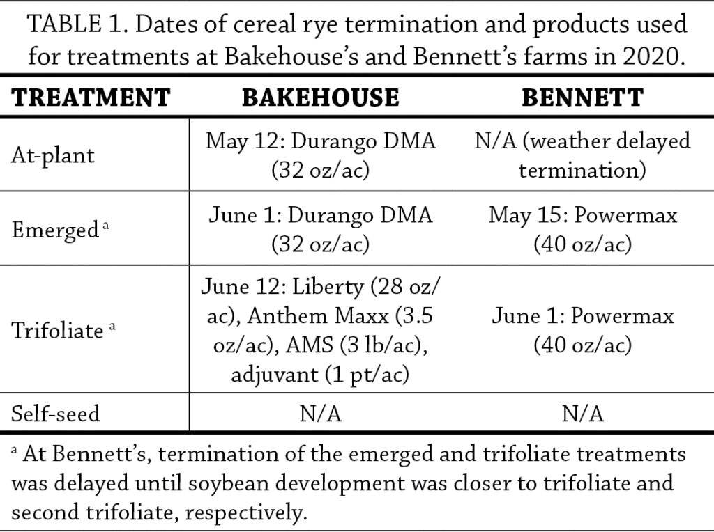 Term rye in beans table 1