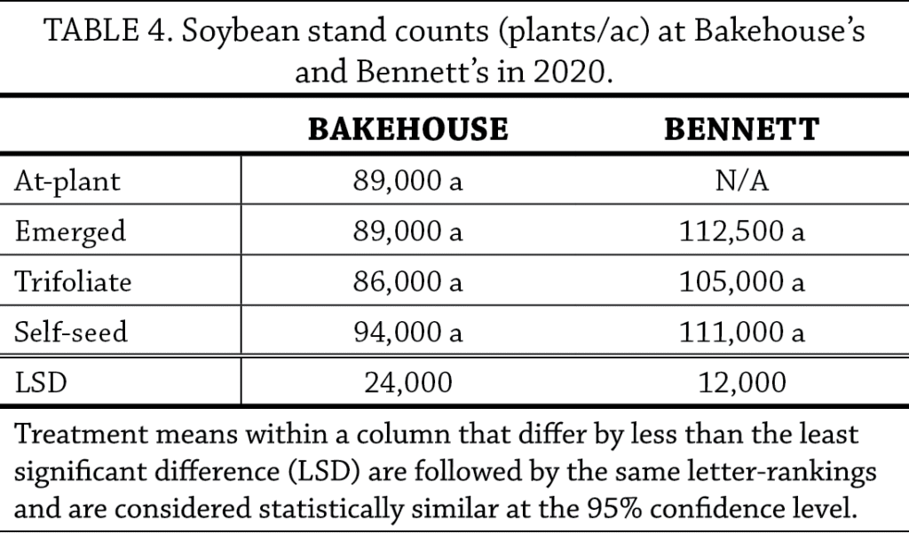 Term rye in beans table 4