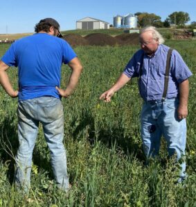 Vic madsen and david rosmann looking at vic's soil conditioning 'experiment'