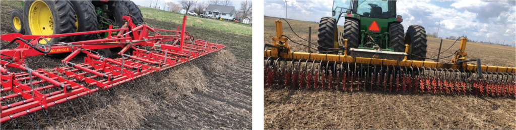 Weed control in oats photo 1