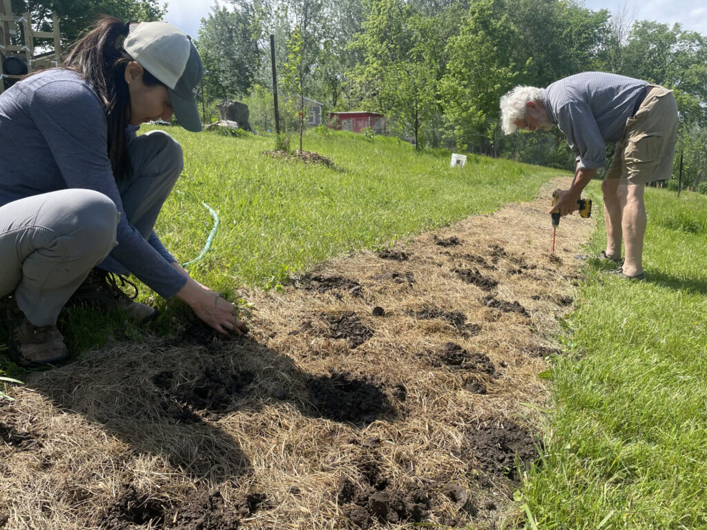 Growing Medicine and Supporting Pollinator Habitat at Profound Existence Herbs