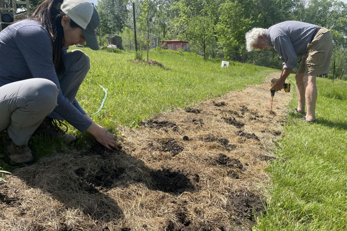 Growing Medicine and Supporting Pollinator Habitat at Profound Existence Herbs
