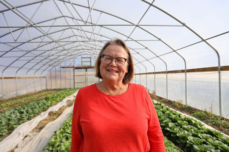 Where Local Took Root