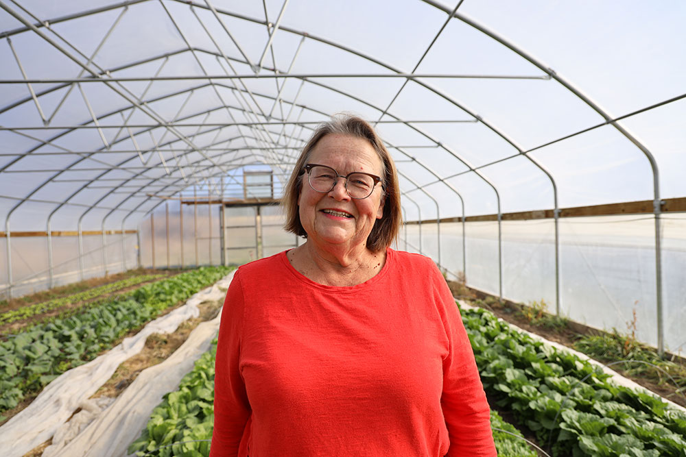 Where Local Took Root