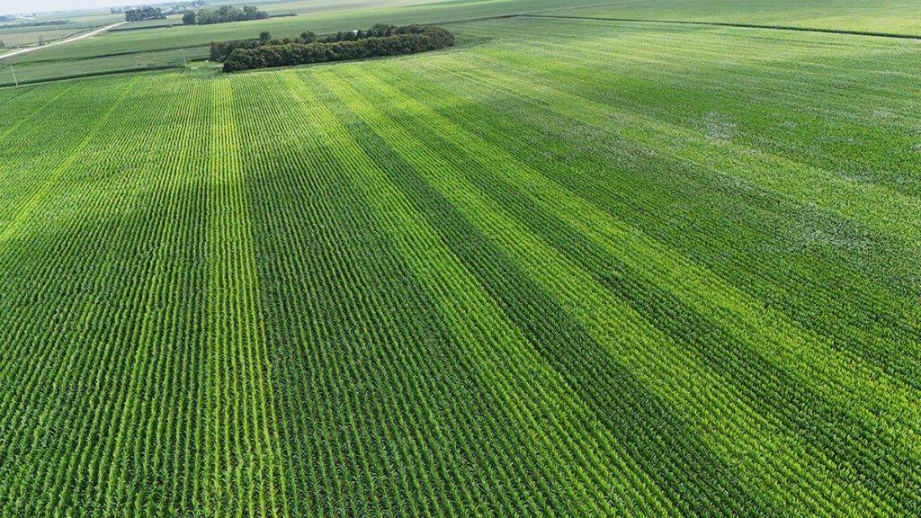 Can We Reduce N Rates to Corn and Improve ROI?