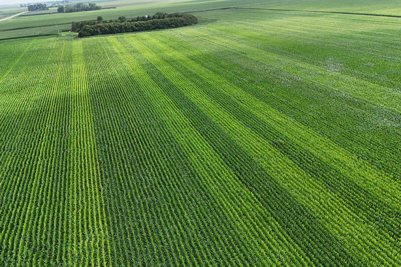 Can We Reduce N Rates to Corn and Improve ROI?