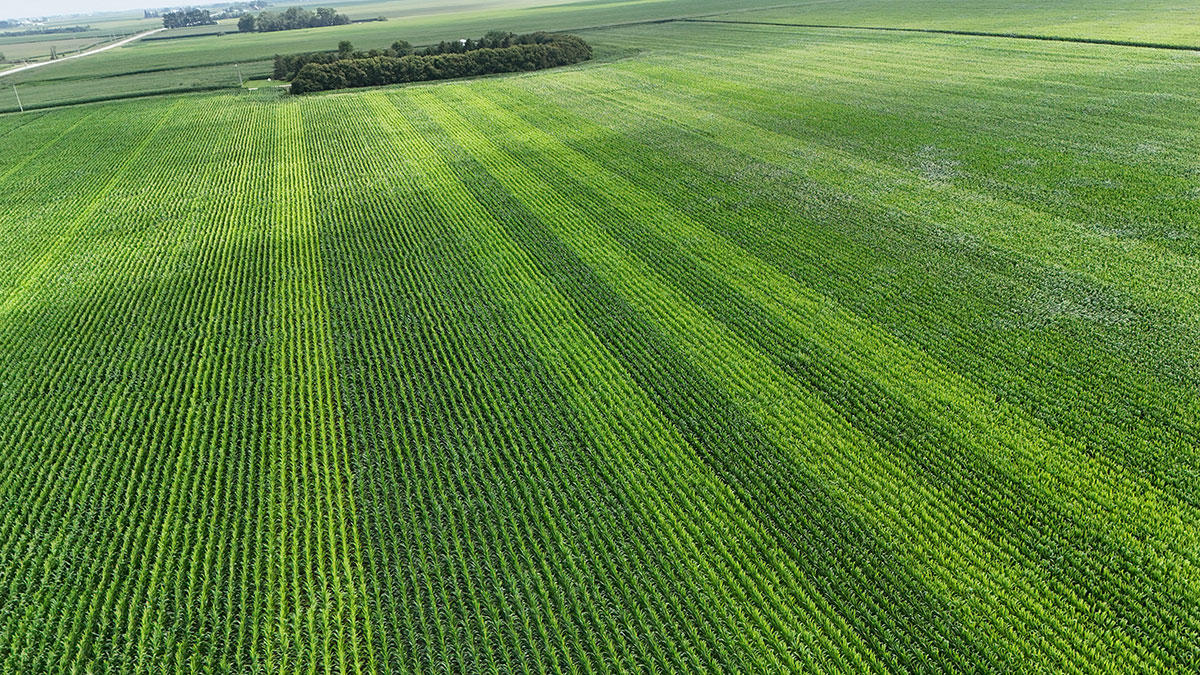 Can We Reduce N Rates to Corn and Improve ROI?