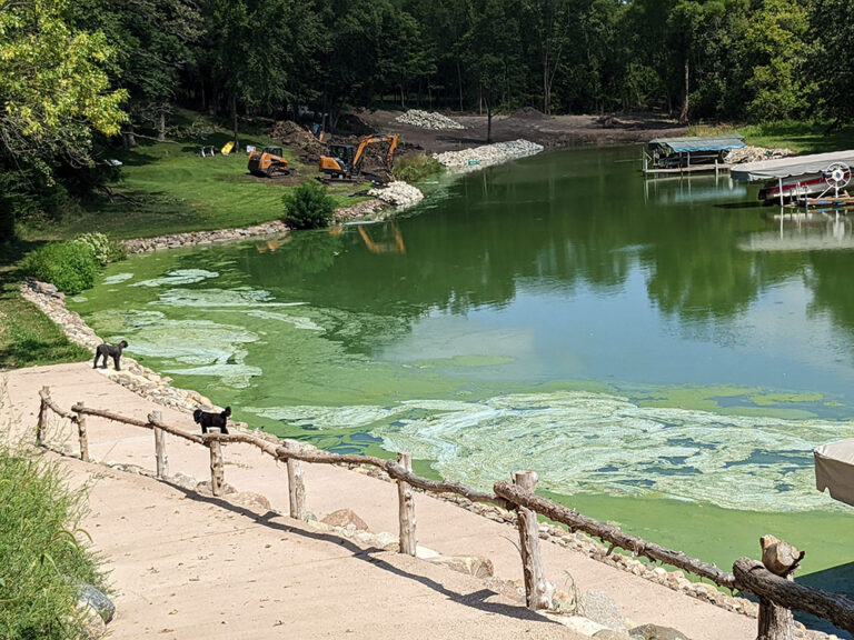 Currents of Change: Supporting Cleaner Water