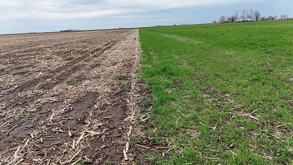 Do Cover Crops Increase the Number of Days Suitable for Field Work?