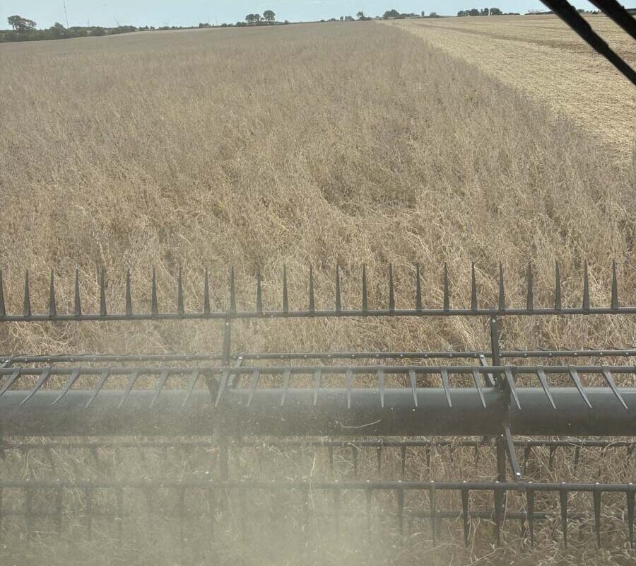 N-Rate Reduction Effects on Subsequent Soybean Yields: Do N Rates to Corn Affect Next Year’s Soybean Yields?