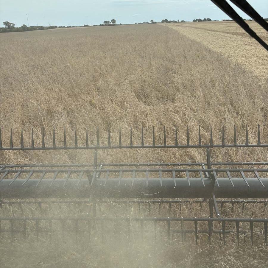 N-Rate Reduction Effects on Subsequent Soybean Yields: Do N Rates to Corn Affect Next Year’s Soybean Yields?