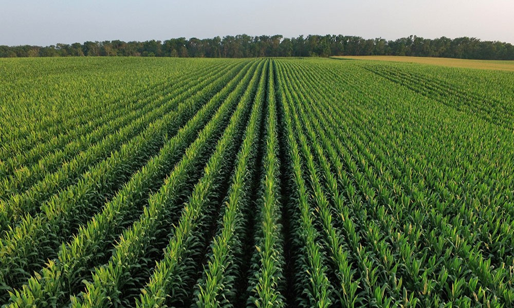 Program helps farmers save on fertilizer while protecting water quality