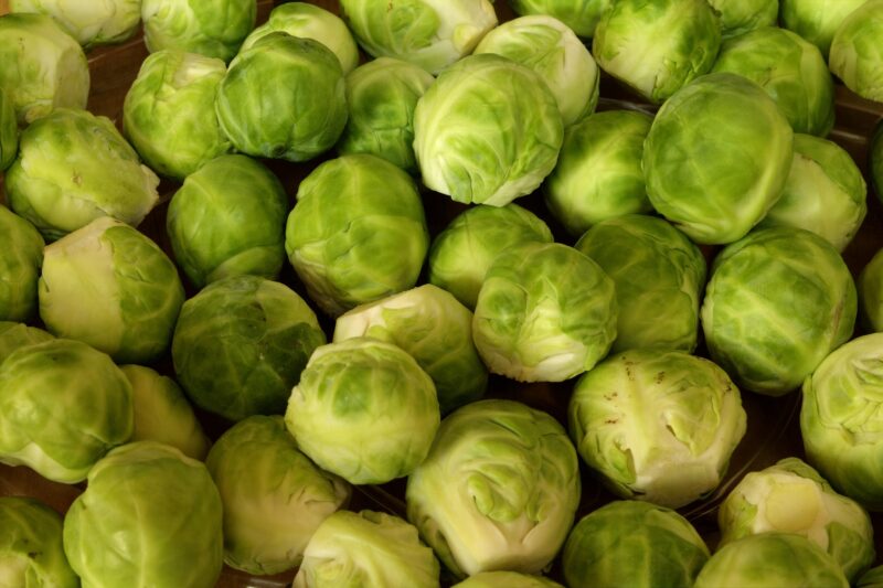 Nitrogen Fertilizer Rates for Brussels Sprouts