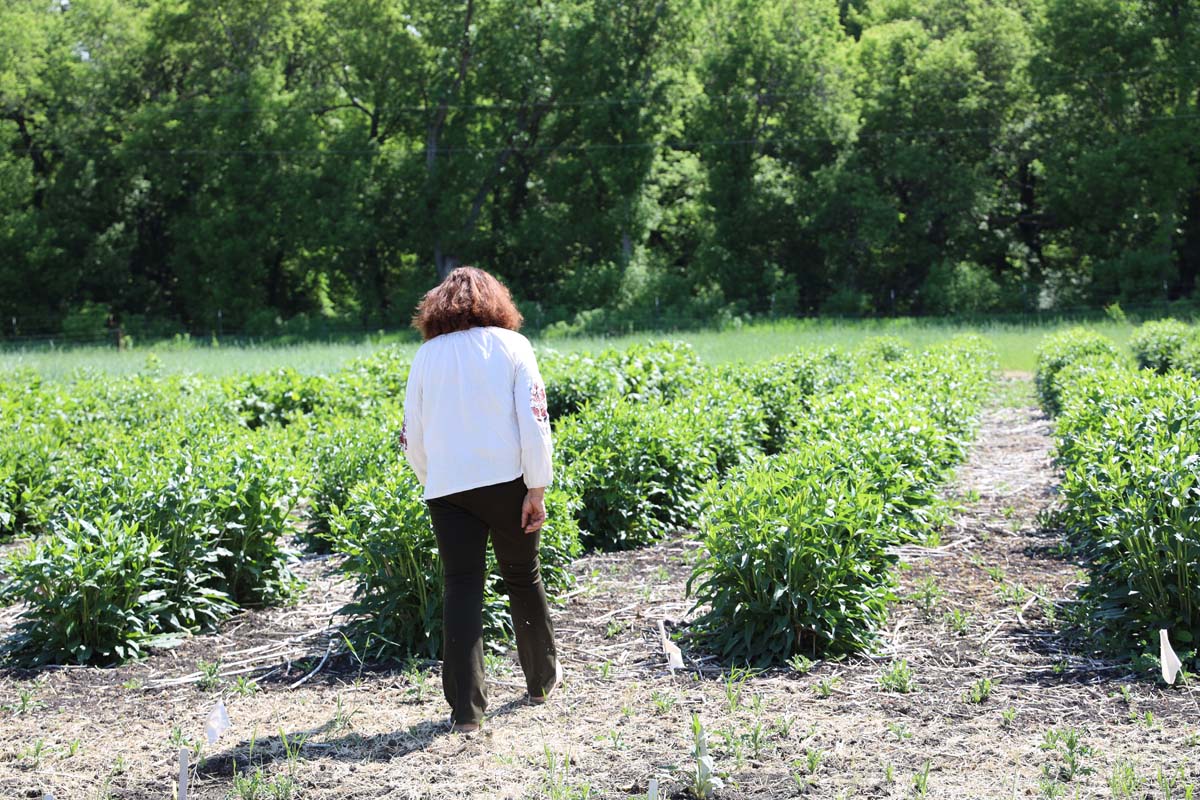 Sowing Seeds, Weaving Community