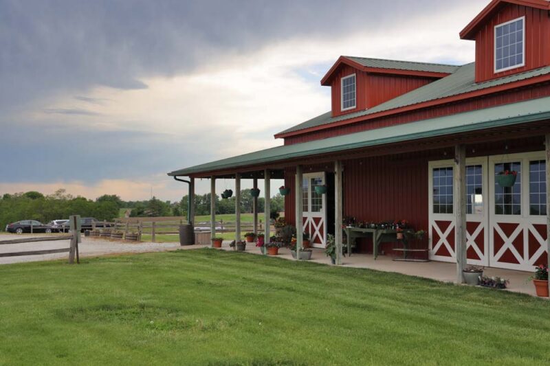 From Local Farms to the Harvestville Table