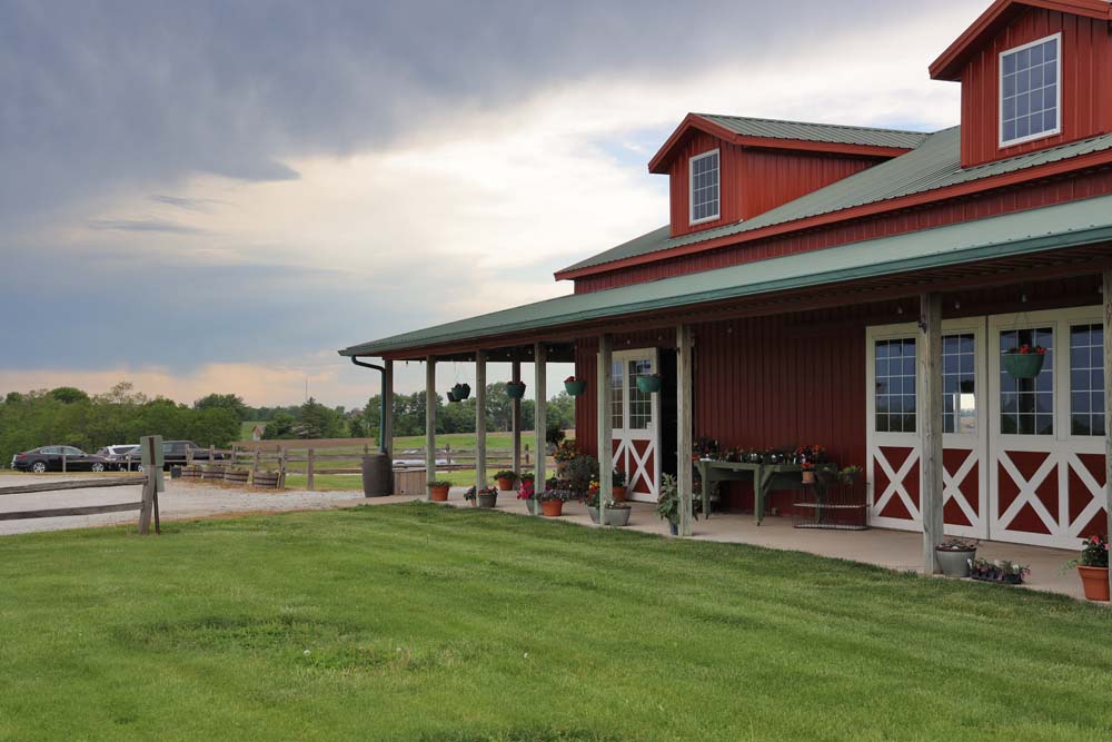 From Local Farms to the Harvestville Table