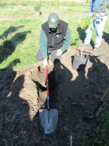 Trees Forever representative Jeff Jensen shows how to lay the shovel across the hole for the tree.  The dirt fill line will be at the bottom of the shovel - make sure the tree is planted to the right depth!