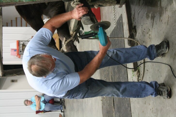 Craig Griffieon uses a grinder to shape and smooth a show steer's hooves.