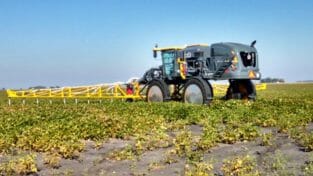 Hagie's high-clearance cover crop seeder seeding cover crops into standing soybeans on Sept. 18.