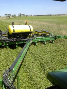 planting into dying cloverSloan