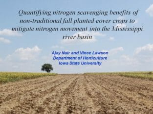 Quantifying Nitrogen