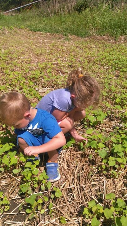 peterson grandkids in buckwheat