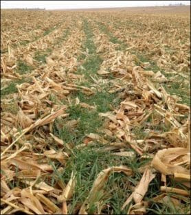 2012 drought anderson