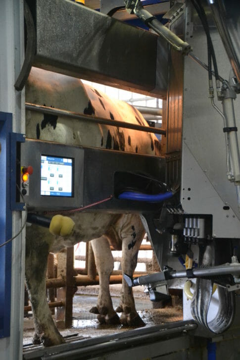 A closer look at the robotic arm that attaches to the udder. 
