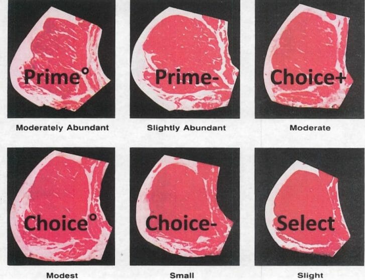 photo of meat grades