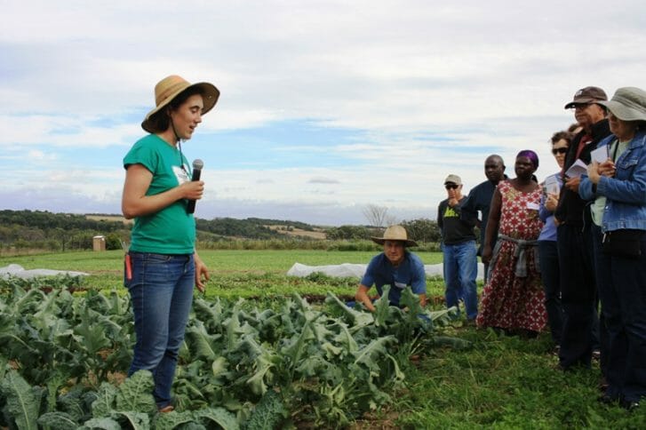During a 2016 PFI field day at Patchwork Green Farm, Emily Fagan demonstrates kale harvesting, bundling and plant cleaning in the field.