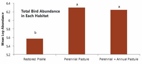 Total number of all bird species observed in each habitat type reported on a log scale. Columns labeled with different letters are significantly different. At P < 0.05, more birds were observed in the Perennial Pasture and Perennial+Annual Pasture than Restored Prairie. 