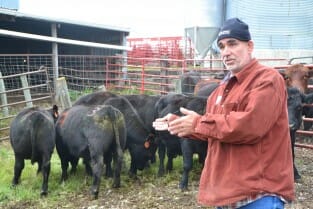 Bruce Carney hosted a field day on grass-finished cattle on September 28th
