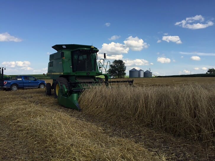 Jack Boyer harvesting standing small grains with a combine, as Mark plans to do. 