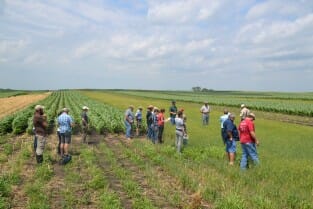 The crowd learns about strip intercropping and ridge till at Craig's farm.